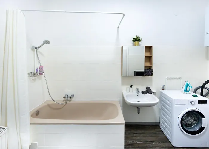 Comfortable Spacious By Hanovermarkt & The Danube Viena